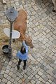 altenburg-trachtenfest-02-06-2012 (46)